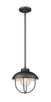 ANSEL luminaire suspendu extérieur chrome vieillit 590P