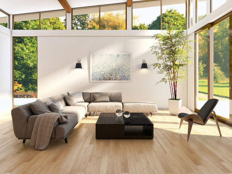 Z-STUDIO luminaire mural 8'' | Luminaire Plus.ca