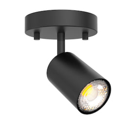 DIRY luminaire projecteur simple | Luminaire Plus.ca