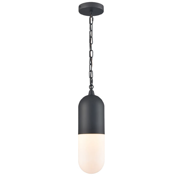 CAPSULE luminaire extérieur suspendu noir DVP13775BK-OP | Luminaire Plus.ca
