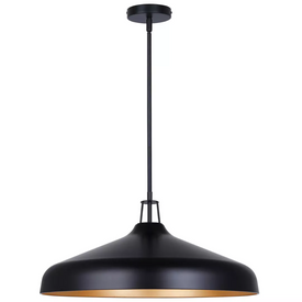 HOLLAND luminaire suspendu 22''D IPL1203A04BKG22