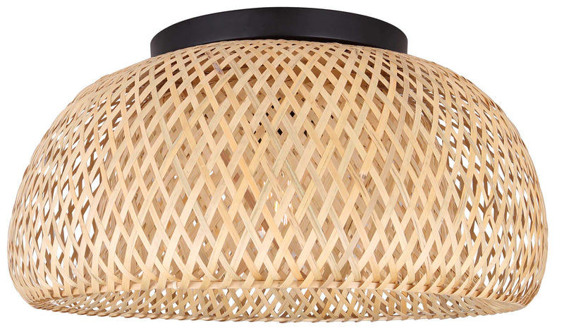 SARIEL luminaire plafonnier IFM2025B18BK | Luminaire Plus.ca