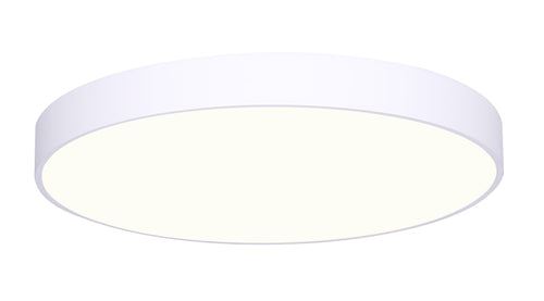 LUNA luminaire plafonnier rond 6"D DL-6F-10WS