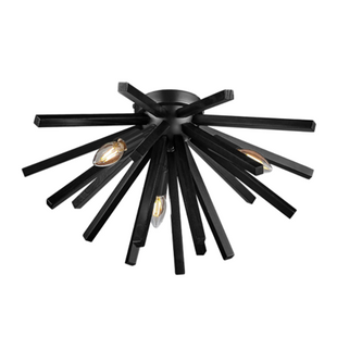 PIC luminaire plafonnier  C637-22-BK