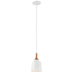 DANIKA luminaire suspendu blanc et bois 43682WH | Luminaire Plus.ca