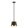 CASKE luminaire suspendu noir et doré C62901BKAG | Luminaire Plus.ca