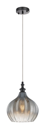 RENITY luminaire suspendu noir C80102SM | Luminaire Plus.ca