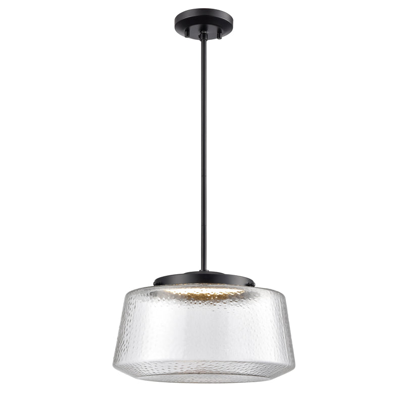 LUNENBERG luminaire suspendu noir DVP43920EB-HMC | Luminaire Plus.ca