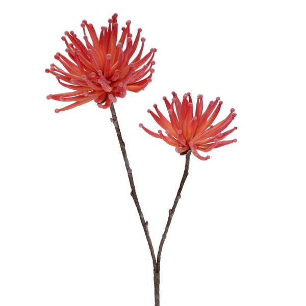 Fleur de mousse double orange L3622 | Luminaire Plus.ca