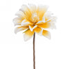 Fleur de mousse jaune et blanche L3777