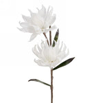 Fleur de mousse double blanche LN1304