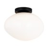 MELOTTE luminaire plafonnier ou mural noir WX63611BKOP | Luminaire Plus.ca
