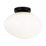 MELOTTE luminaire plafonnier ou mural noir WX63611BKOP | Luminaire Plus.ca