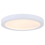 LED DISK luminaire plafonnier profil mince blanc LED-SM55DL-WT-C
